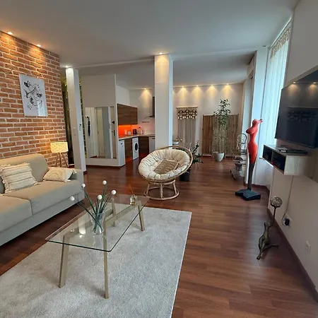 Ref 1988 -charming In The Center Of Cannes